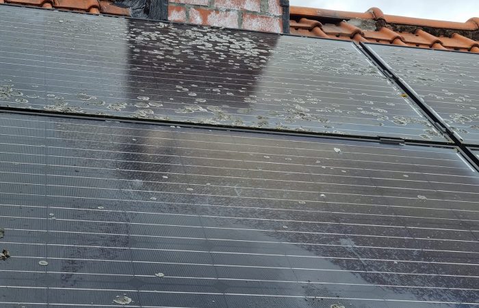 278277116_303538145188532_441617077040751191_n